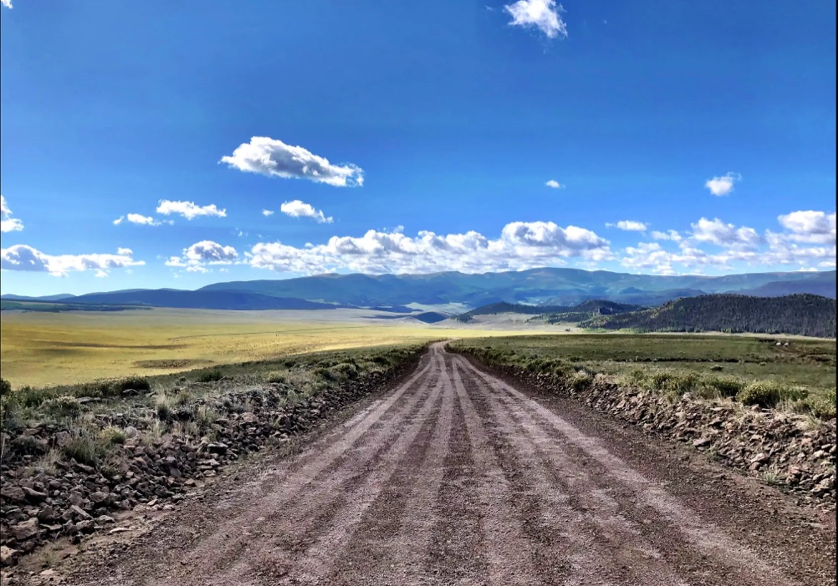 THE ROAD NOT TAKEN