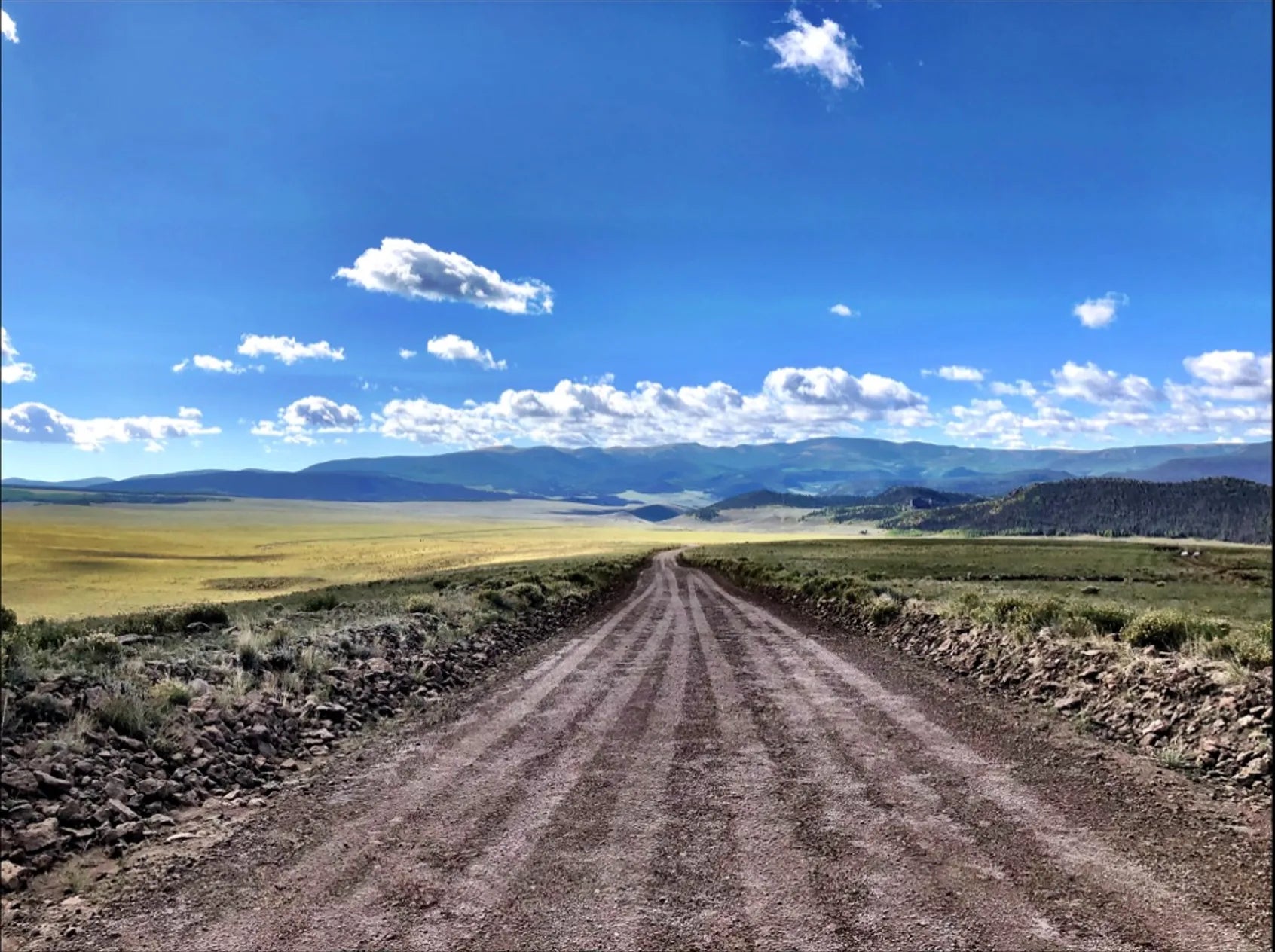 THE ROAD NOT TAKEN